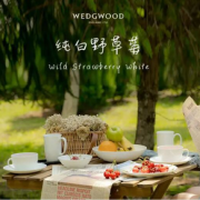 Wedgwood 玮致活 纯白野草莓系列 骨瓷杯盘4件套装（1杯1碗2盘）