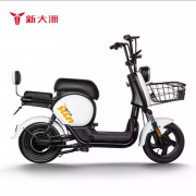 新大洲 PALLA新国标电瓶车48V24AH可提锂 K9 钻白