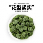 修正 精选三七花茶 30g/罐