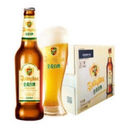 TSINGTAO 青岛啤酒 全麦白啤 330ml 12瓶