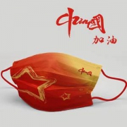 中国风口罩三层防护独立包装 30个