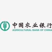 中国农业银行APP 各大视频网站 会员月卡 1元起
