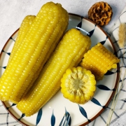 东北即食甜糯黄糯玉米棒8根