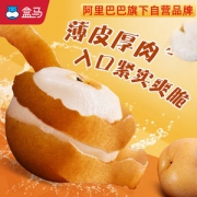 盒马鲜生 山东莱阳秋月梨礼盒装 净量1920g 6粒装/单果320g+