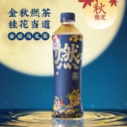 燃茶 金桂乌龙茶 无糖0脂茶饮料 500ml*15瓶