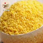 PLUS会员：KEEP W-VILLAGE GO 守望乡村 新米黄小米 500g