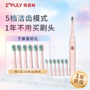 新低！小米生态链，35000次高频，Type-C快充：英普利 充电式声波电动牙刷B156