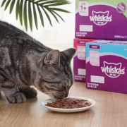 whiskas 伟嘉 成猫妙鲜包 85g*12包 金枪鱼味