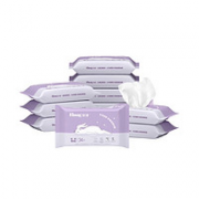 Kleenex 舒洁 湿厕纸 24片*10包