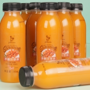 金慧仁 沙棘汁饮料 310ml*8瓶