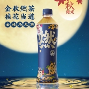 燃茶 金桂乌龙茶 无糖0脂茶饮料 500ml*15瓶