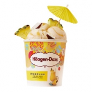 限区域：哈根达斯 凤梨椰香 冰淇淋 100ml*1杯*16件+4件
