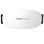 攀高（PANGAO）腰部按摩器 PG-2643（双脉冲按摩+红光热敷）