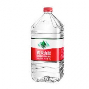 NONGFU SPRING 农夫山泉 饮用水 饮用天然水 4L*4桶 整箱装 桶装水