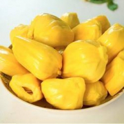 PLUS会员：沃多鲜 海南黄肉菠萝蜜 20-25斤装