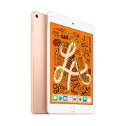 Apple 苹果 iPad mini 5 2019款 7.9英寸 平板电脑 64GB WLAN 金色