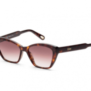 Chloé 蔻依 CE760S-219 女士太阳镜