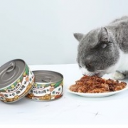 pet camp 宠物大本营 猫罐头 170g*12罐 混合口味