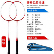 Webber 韦伯 DART10 CW418 羽毛球拍
