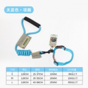 Touchdog 狗狗牵引绳 黑色项圈+牵引绳 S 5-15斤