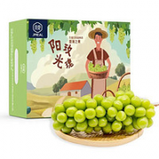 京觅 阳光玫瑰葡萄 净重  1.5kg