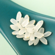 聚划算百亿补贴：十月稻田 东北胚芽米 2.5kg