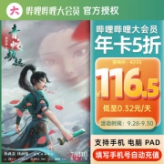 哔哩哔哩 B站VIP大会员 12个月