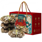 现货 鲜活阳澄湖大闸蟹 公蟹3.5两/母蟹2.5两 各5只礼盒装