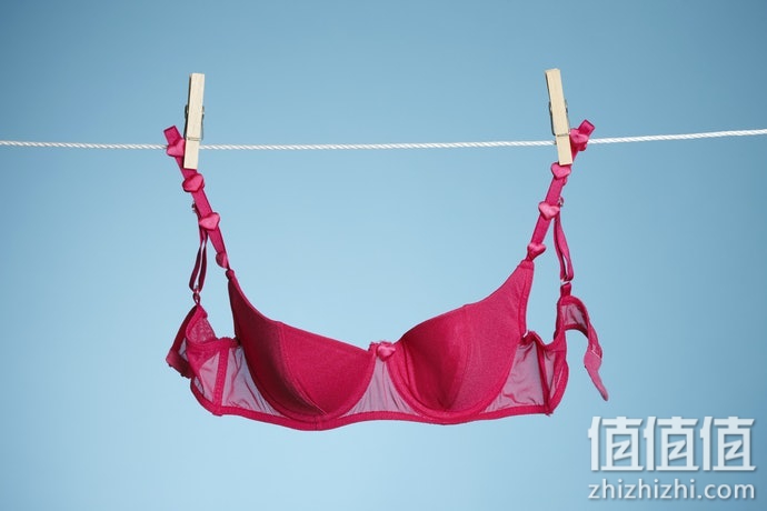 内衣专用洗衣袋怎么选？内衣洗衣袋选购指南