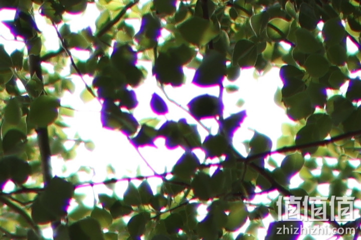 老蛙35mm f/0.95评测报告｜专为全幅无反而生 同级最大光圈！