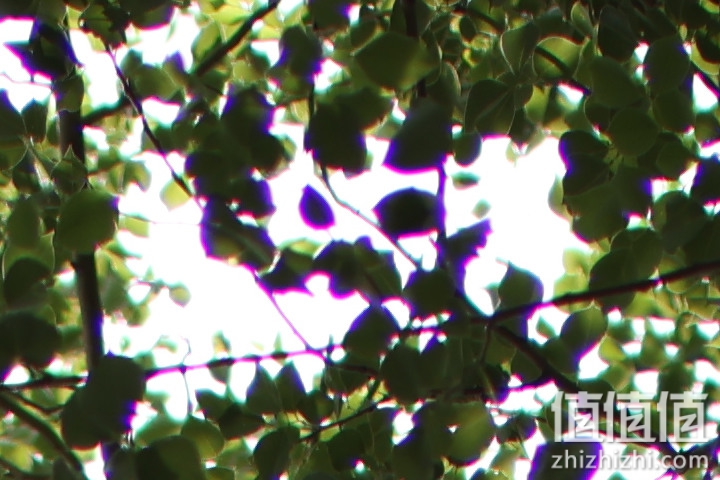 老蛙35mm f/0.95评测报告｜专为全幅无反而生 同级最大光圈！