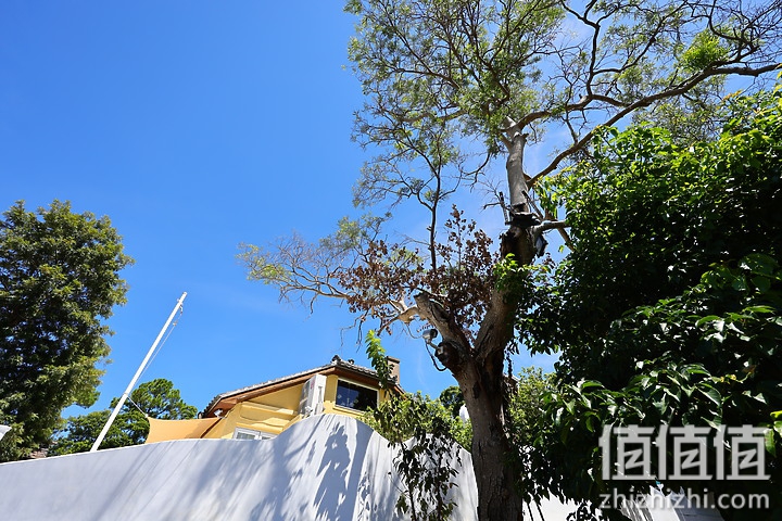 Canon RF 14-35mm f/4L IS USM 体验报告｜不仅更广更稳 还有0.38x近摄能力