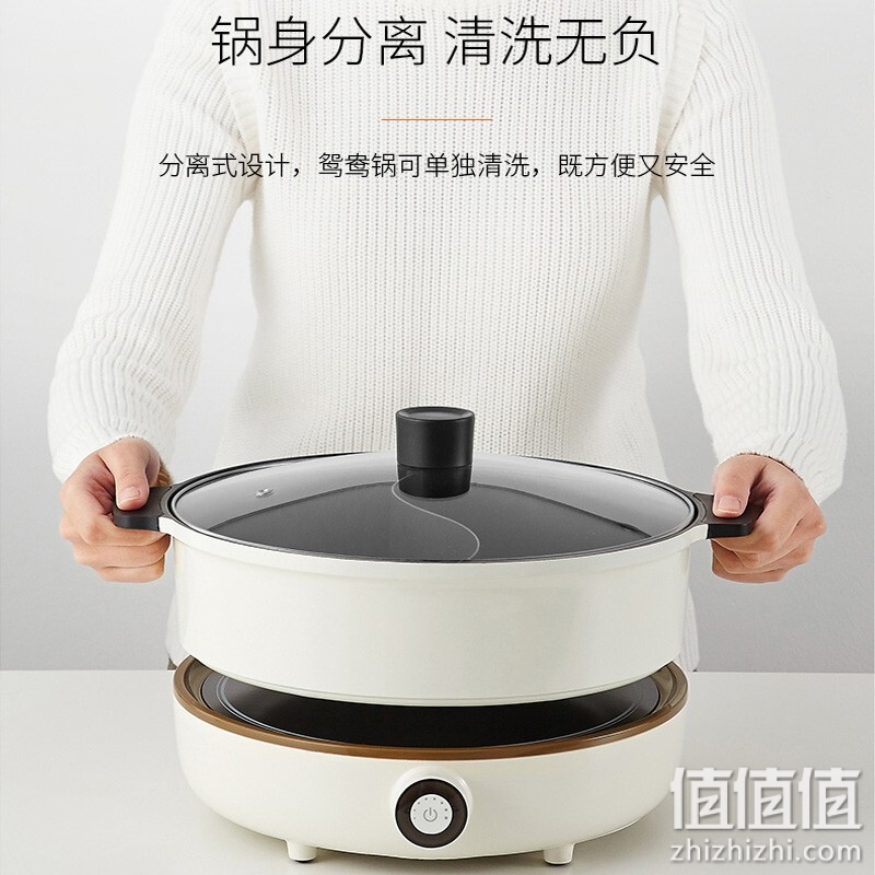 九阳电火锅家用4.5L升多功能分体式鸳鸯火锅电煮锅IH电磁加热757
