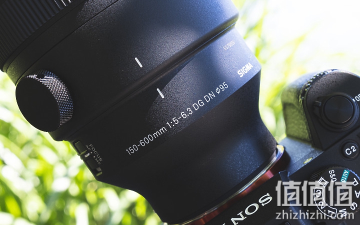 Sigma 150-600mm F5-6.3 DG DN OS Sport 评测：超望远的性价比之选