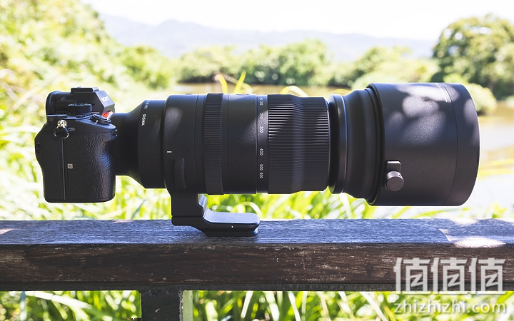 Sigma 150-600mm F5-6.3 DG DN OS Sport 评测：超望远的性价比之选
