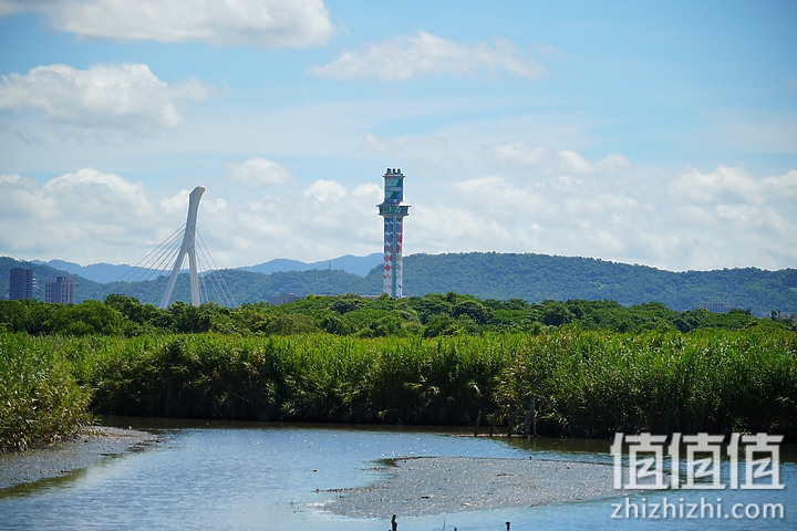 Sigma 150-600mm F5-6.3 DG DN OS Sport 评测：超望远的性价比之选