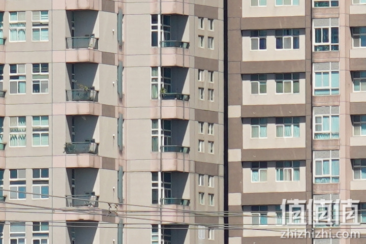 Sigma 150-600mm F5-6.3 DG DN OS Sport 评测：超望远的性价比之选