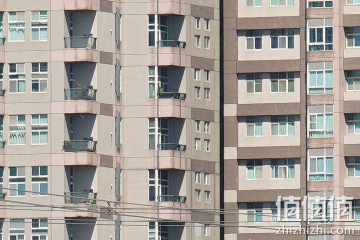 Sigma 150-600mm F5-6.3 DG DN OS Sport 评测：超望远的性价比之选