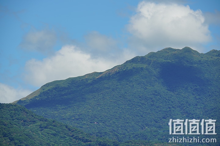 Sigma 150-600mm F5-6.3 DG DN OS Sport 评测：超望远的性价比之选