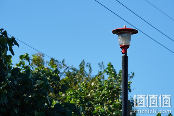 Sigma 150-600mm F5-6.3 DG DN OS Sport 评测：超望远的性价比之选