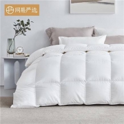 双11预售:YANXUAN 网易严选 95%白鹅绒春秋被 经典款 150*200cm