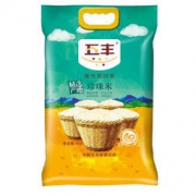 五丰 华润 五丰大米精选产地珍珠米圆粒米5kg