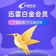 Thunder 迅雷 白金会员 12个月年卡