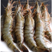 PLUS会员：觅客 活冻黑虎虾 500g *3件