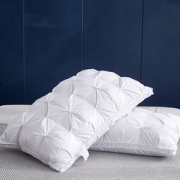 AIDLI 100支 95%白鹅绒枕芯 48*74cm