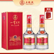PLUS会员：WULIANGYE 五粮液 一尊天下御藏 52度浓香型白酒  500mL*2瓶+1个礼品袋