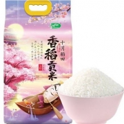 20点开始:SHI YUE DAO TIAN 十月稻田 香稻贡米 5kg*2件