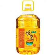 20点开始：LONG DA 龙大 食用油 压榨一级 特香花生油 6.18L*2件