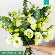 幸康丰 云南洋桔梗生活鲜花