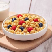 PLUS会员：Kellogg's 家乐氏 谷维滋麦片 310g*2盒*2件